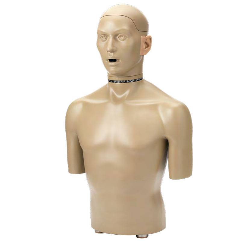 KEMAR Bouche Simulateur Tête Torse Oreille HATS Non Configuré 45BC GRAS